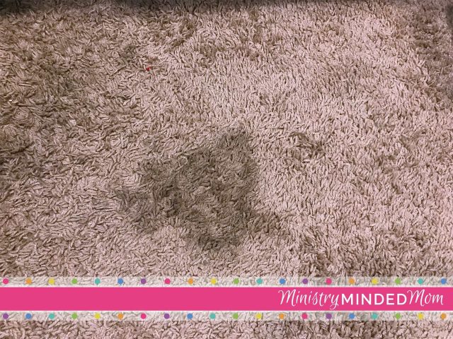 DIY Carpet Cleaner Recipe