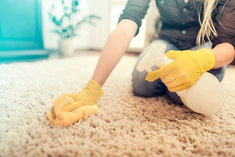 Homemade Carpet Spot Cleaner Recipe